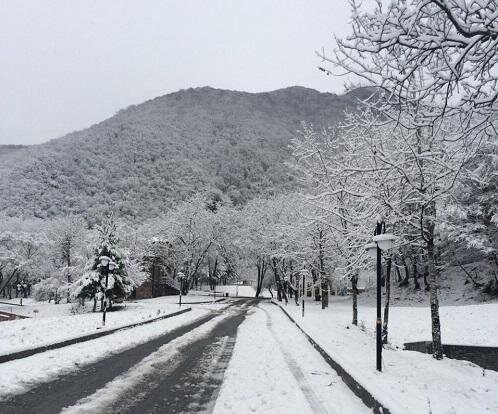 Qar örtüyünün hündürlüyü 18 santimetrə çatdı - FAKTİKİ HAVA