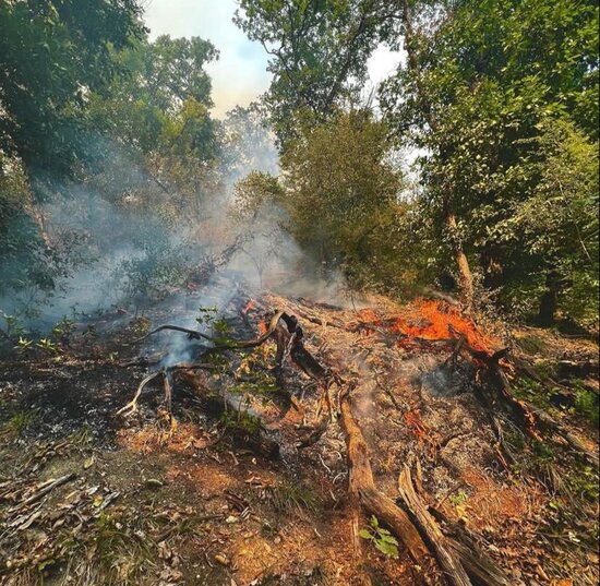 Yanğın Zaqatala təbiətini belə dəyişdi-MÜƏLLİFİN GÖZÜNDƏN