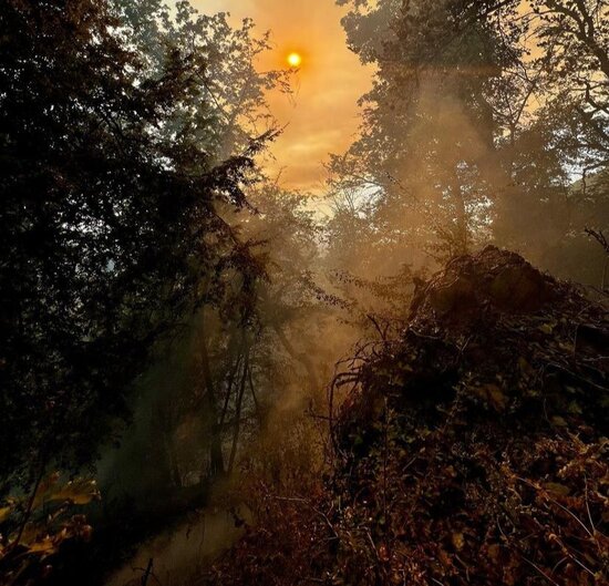 Yanğın Zaqatala təbiətini belə dəyişdi-MÜƏLLİFİN GÖZÜNDƏN