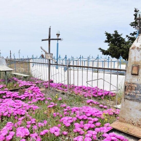 Azərbaycanın bu adasında nəqliyyat PULSUZ, spirtli içki gətirmək QADAĞANDIR - FOTO