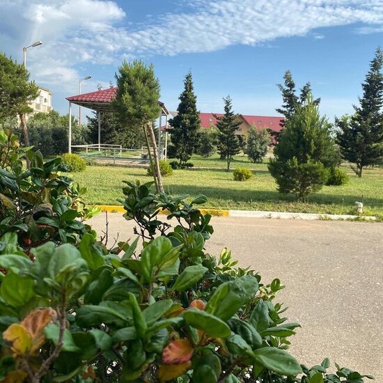 Azərbaycanın bu adasında nəqliyyat PULSUZ, spirtli içki gətirmək QADAĞANDIR - FOTO