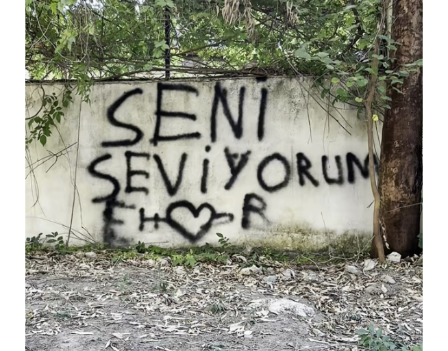 Bir gəncin sevdiyi qız üçün divara yazdığı "Səni sevirəm" sözünə bələdiyyə əməkdaşından maraqlı cavab