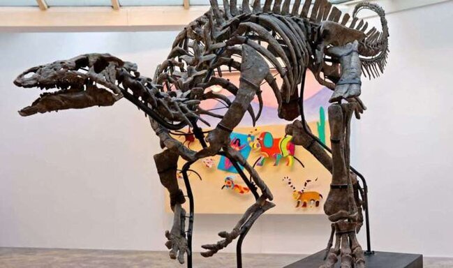 150 milyon illik dinozavr skeleti satışa çıxarıldı