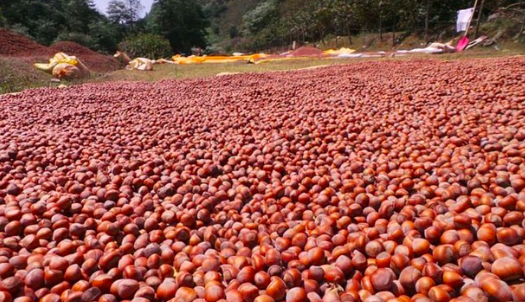 Azərbaycan 4-cü yerdədir