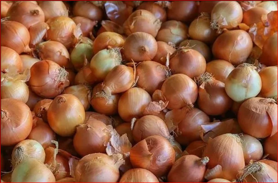 Azərbaycanda soğan iki dəfədən artıq bahalaşdı – Yeni qiymətlər