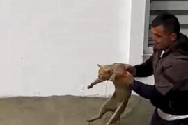 .