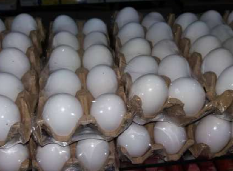 Azərbaycana "süni yumurta"lar gətirilir? - AÇIQLAMA