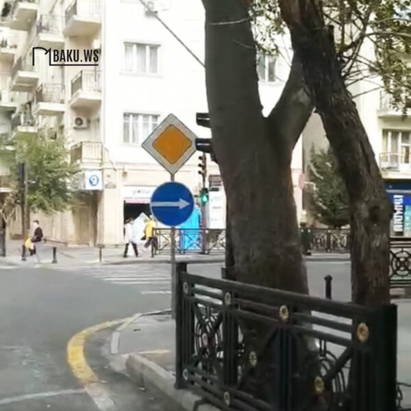 Paytaxtda ağaclar arxasında gizlədilən svetofor sürücüləri çaş-baş salır - FOTO - AÇIQLAMA - YENİLƏNİB