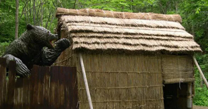 Ayı dəhşət saçdı: Mədəsindən çıxanlar ŞOKA SALDI