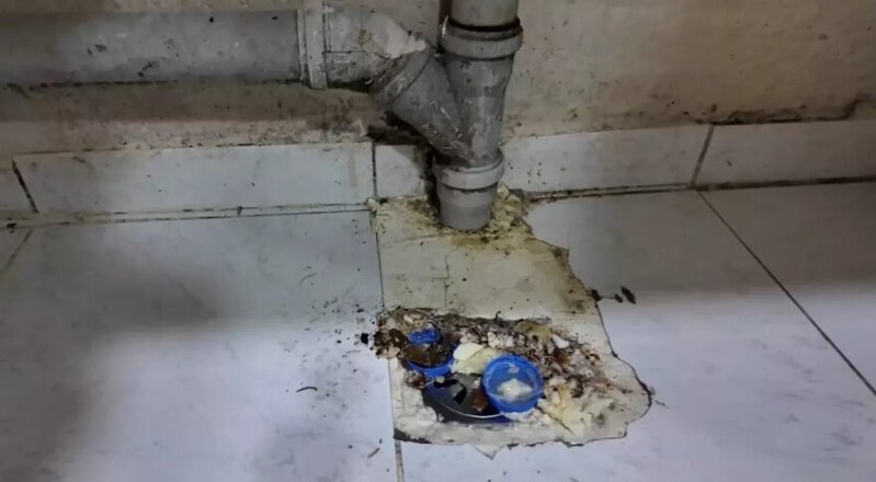 Şirniyyat istehsal edilən məkanda dəhşətli mənzərə - FOTOlar