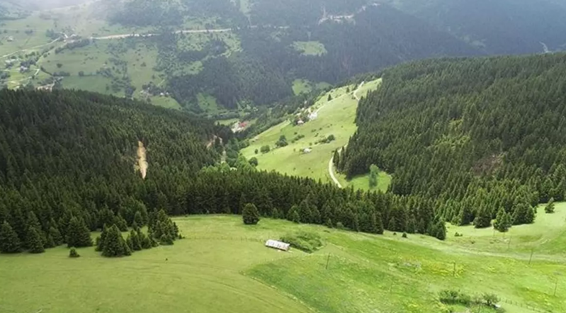 Torpaq mübahisəsi qanlı bitdi: 3 ölü, 1 uşaq yaralı