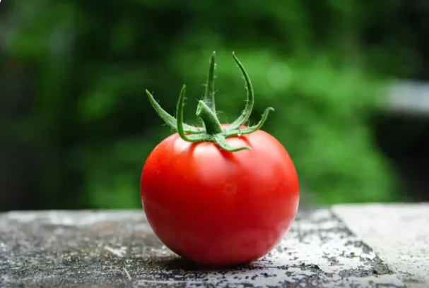 Niyə pomidoru soyuducuda saxlamaq olmaz?