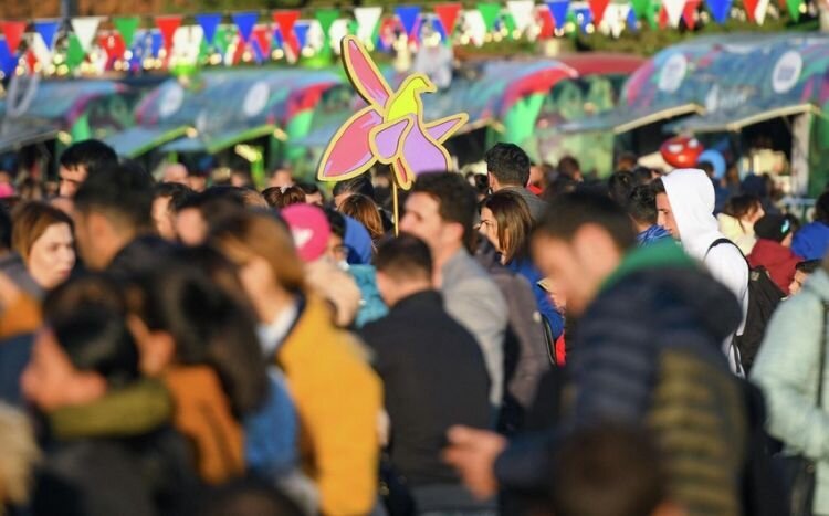 "Gender bərabərliyi sözü səhvdir, bəzi məsələlərdə kişilər, bəzilərində qadınlar üstündür" - Sosioloq