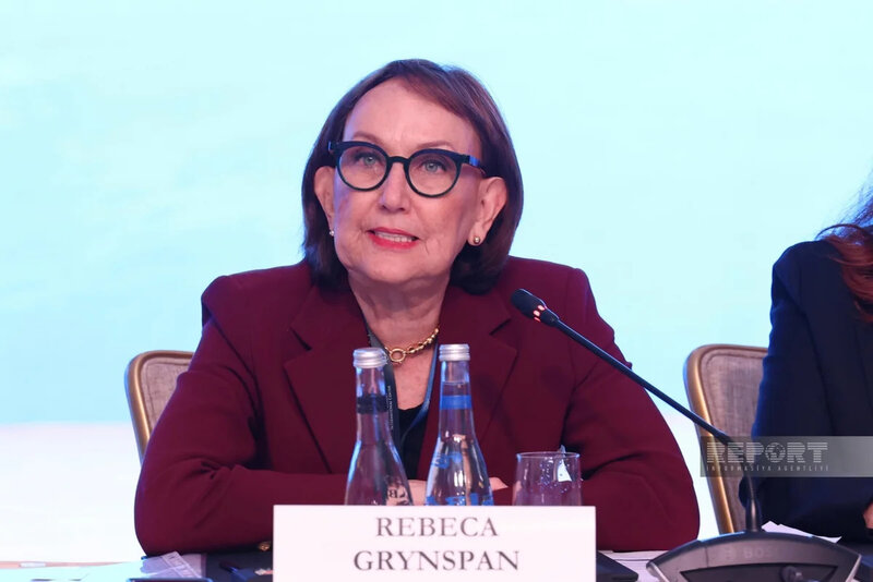 Rebekа Qrinspan: Dünya qlobal böhranın astanasındadır
