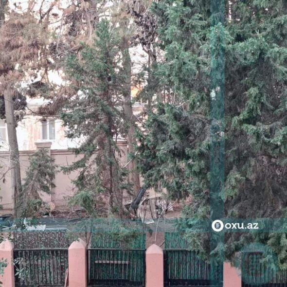 Səbail sakinləri: "Qurudulan yaşıllıq sahədə abadlıq işləri aparılmayıb" - ŞİKAYƏT + FOTO