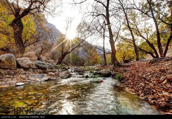 Sabahın hava proqnozu açıqlandı