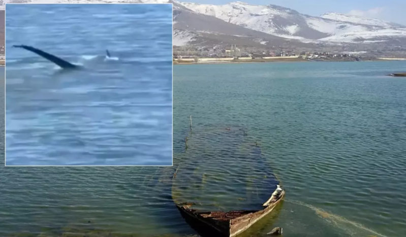 Tatvanda "Van Gölü Canavarı" iddiası – Su üzərində naməlum canlı görüntüləndi - VİDEO