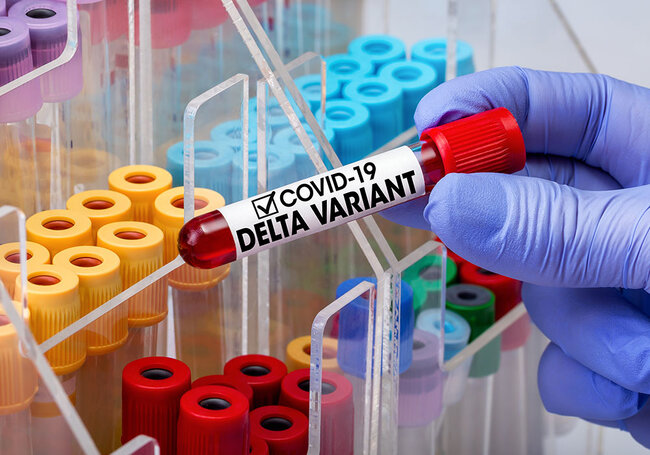 "Delta" variantı içməli suda neçə saat qalır?