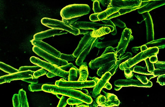 Vərəm xəstəliyi ilə mübarizədə YENİ ÜSUL tapıldı