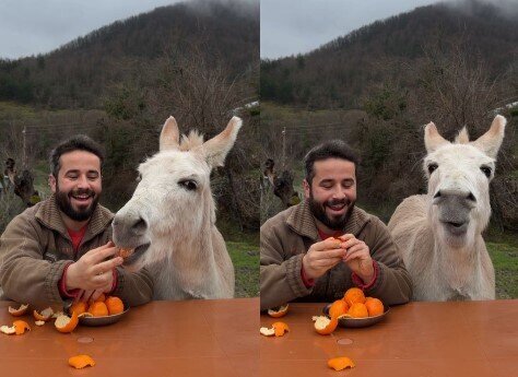 Eşşəklə olan səmimi anları milyonların diqqətini çəkdi - VİDEO