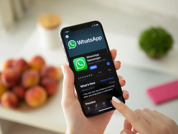 "WhatsApp" istifadəçilərinə ŞAD XƏBƏR - FOTO