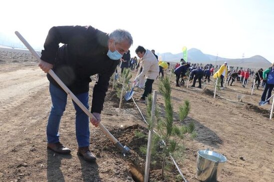 Bakıda "Yaşıl Marafon" aksiyası: İki mindən çox ağac əkildi - FOTO