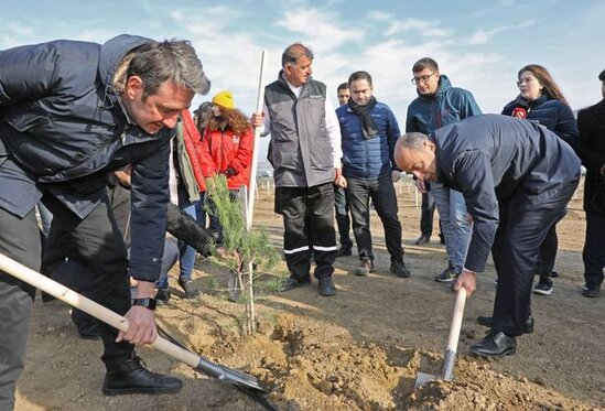 Bakıda "Yaşıl Marafon" aksiyası: İki mindən çox ağac əkildi - FOTO