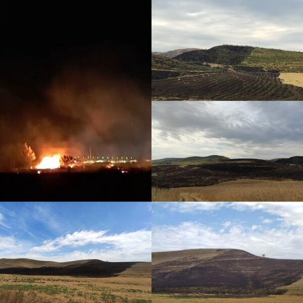 Şabrandakı yanğına görə 2 nəfər saxlanıldı - Foto