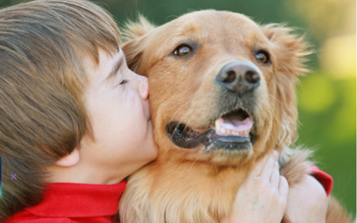 "Heyvanlarla münasibət insana güvən hissi verir və xəyal qırıqlığı yaşamaq ehtimalını azaldır" - PSIXOLOQ