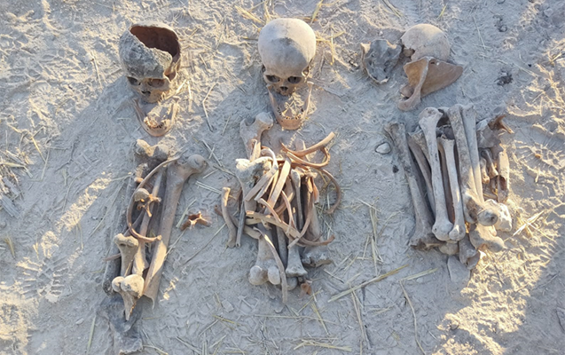 Xocalıda daha 5 nəfərin qalıqları tapılıb