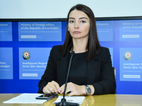 Leyla Abdullayeva Ermənistan xarici işlər nazirinə cavab verib