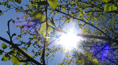 Yaxın iki gündə Bakıda hava şəraiti bir qədər mülayimləşəcək