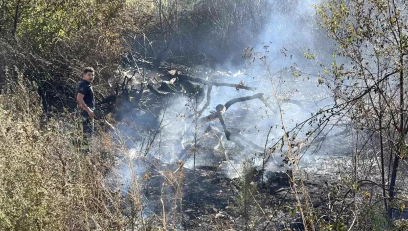Çöllük ərazidə yanğın törədib yanğınsöndürənlərə hücum etdi - VİDEO
