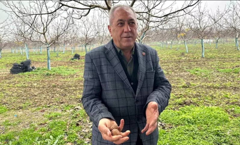 Bir kəndin sakinlərini zəngin edən məhsul! Həkimlər, iş adamları bura axın edir - VİDEO