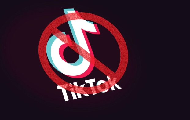 Daha bir ölkədən "TikTok" qadağası