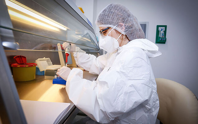 Yoluxanların sayı açıqlandı