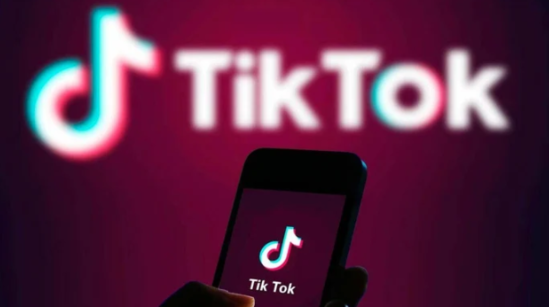 Bu ölkədə "TikTok" - qadağan edildi