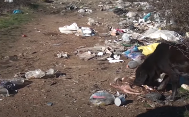 Bu kənddə hələ də zibil qutuları YOXDUR:"Yaşamaq olmur" - VİDEO
