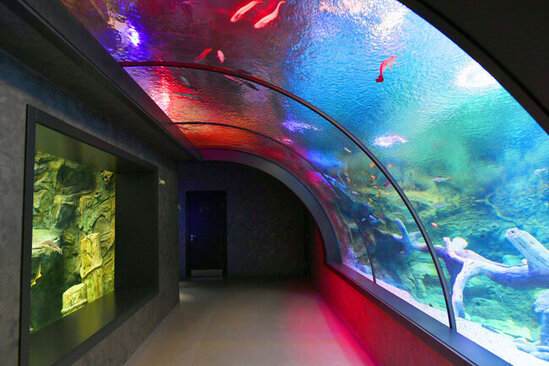 Zoopark nə vaxt istifadəyə veriləcək? - TARİX AÇIQLANDI