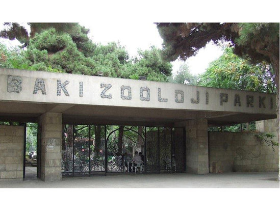 Zoopark müsabiqə elan edib